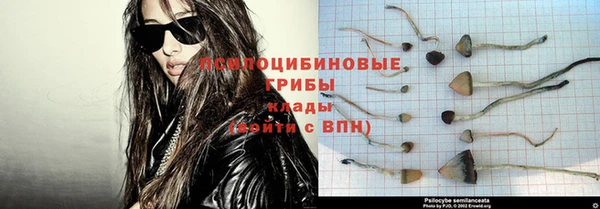 стаф Балабаново